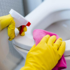 DETERGENTI PER BAGNI ED ENZIMI